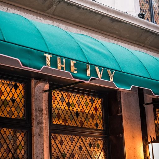 The Ivy
